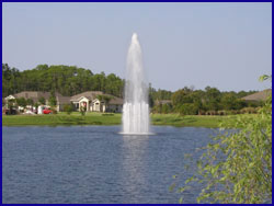 Pond and Lakewater Features